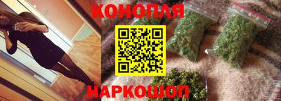 крисы Ставрополь