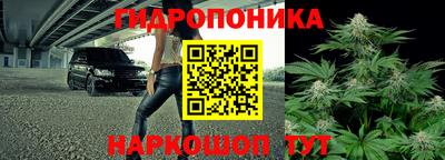 крисы Ставрополь