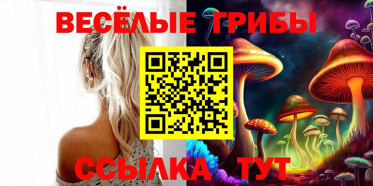 Острогожск  Псилоцибиновые грибы прущие грибы  Вход с VPN 